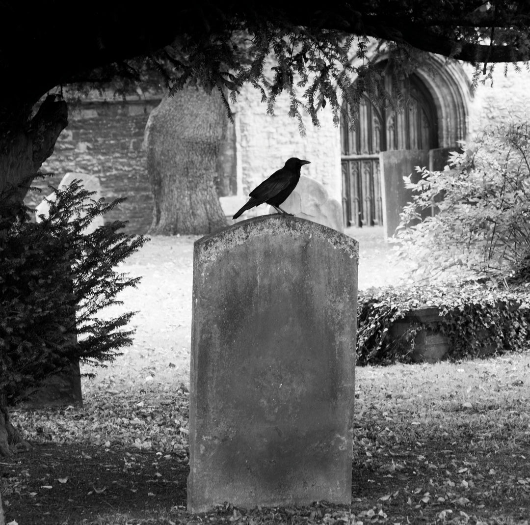 The Raven Letters